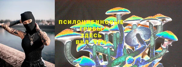 прущие крисы Аркадак